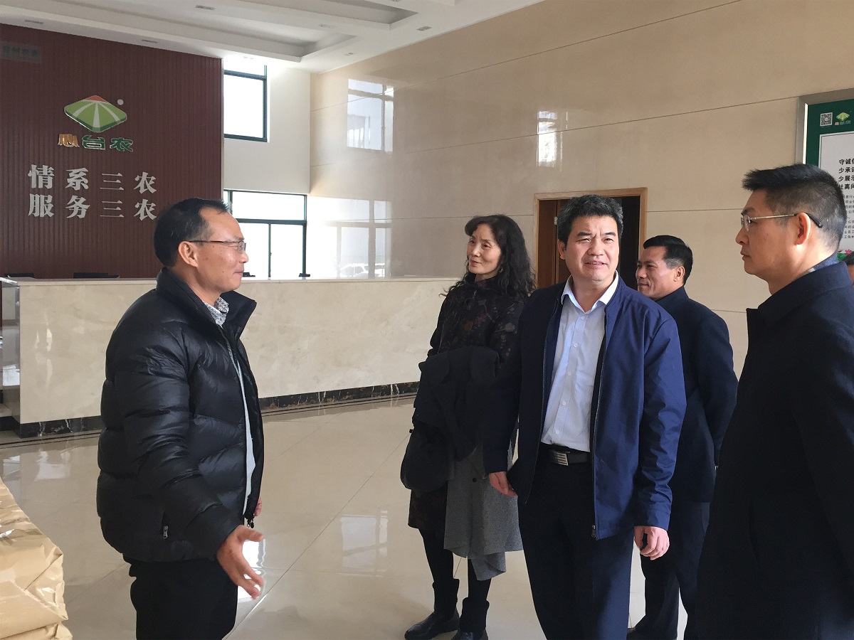 浙江省供銷社副主任童日暉 蒞臨臺農(nóng)調研農(nóng)合聯(lián)