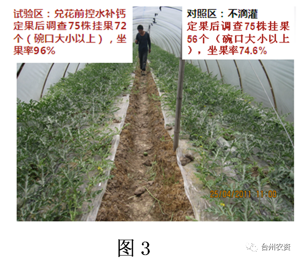 臺(tái)州農(nóng)資 臺(tái)州農(nóng)資